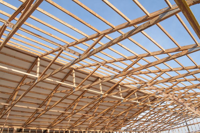 Barn Roof Replacement detail