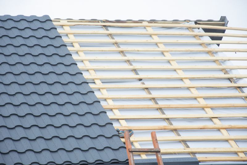 Barn Roof Replacement detail