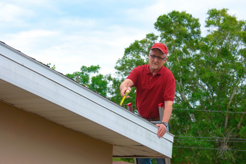 Business Roof Inspection detail