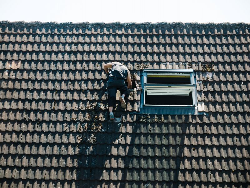 Business Roof Inspection detail
