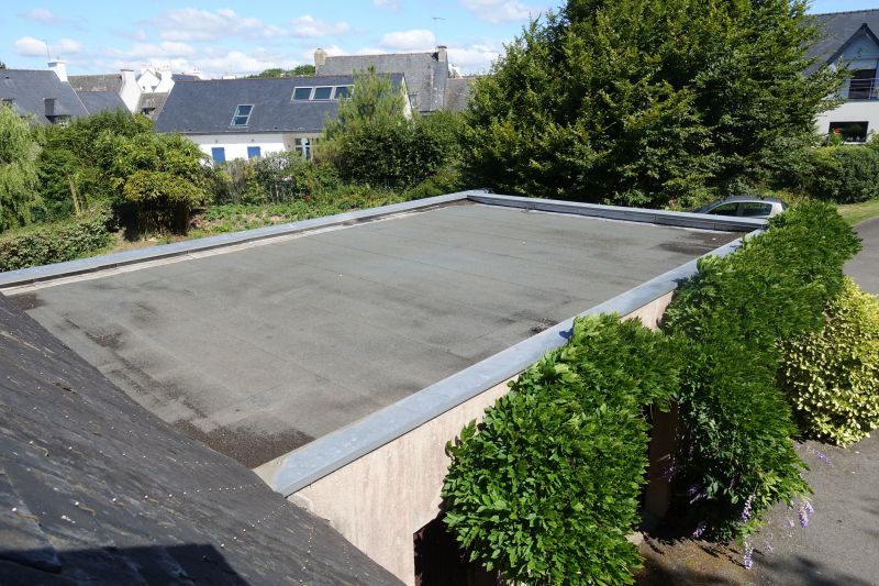 Roof Damage Restoration detail