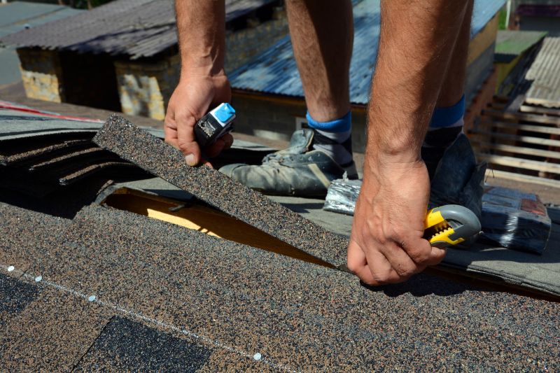 Shingle Repair detail