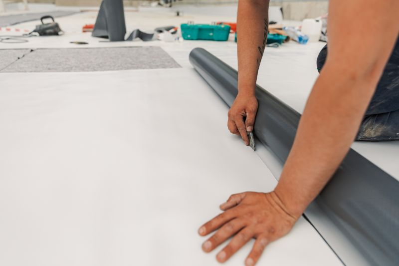 Tpo Roof Coating Service detail